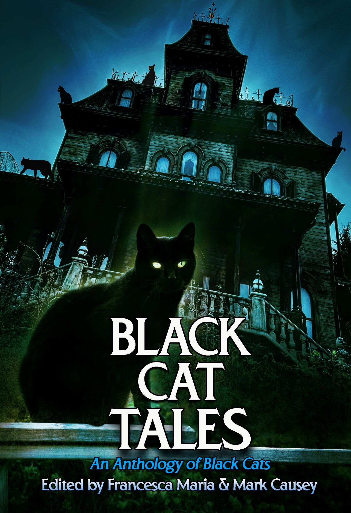 Cover of Black Cat Tales