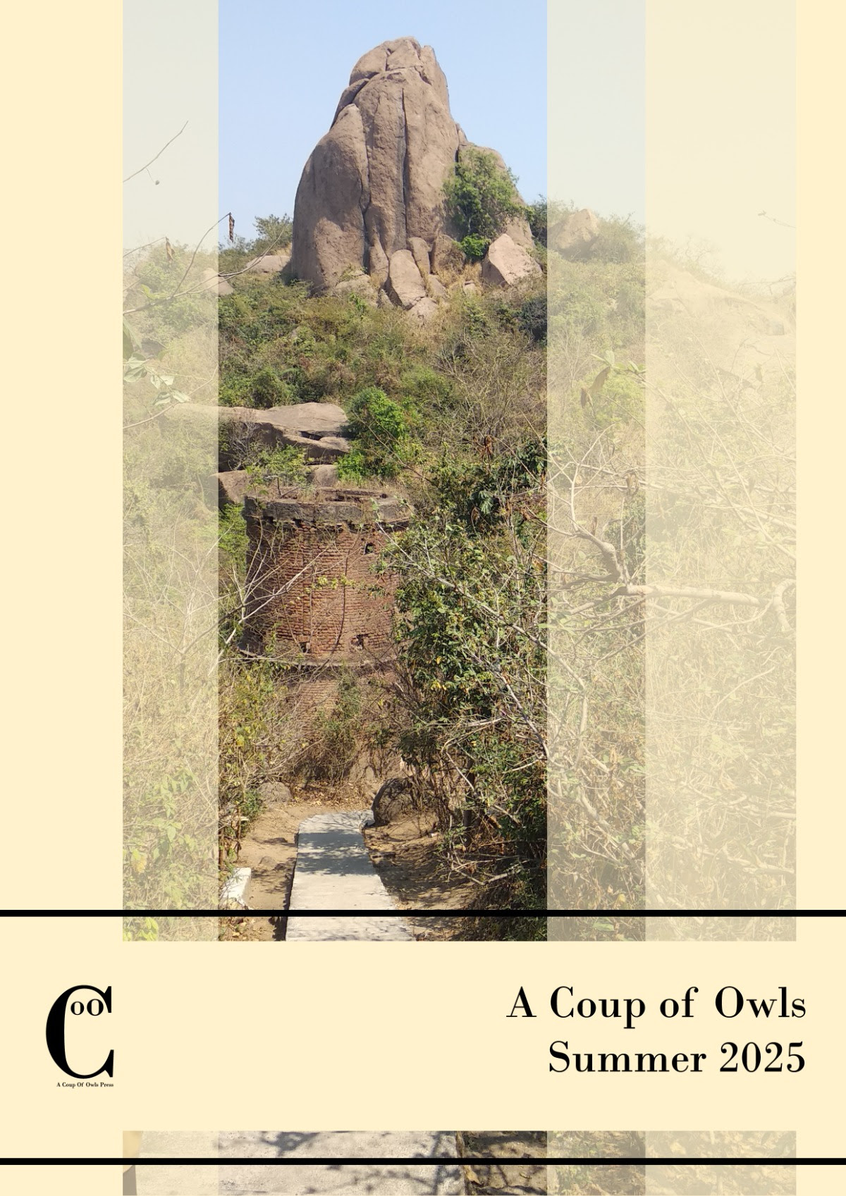 A Coup of Owls Summer 2025 cover